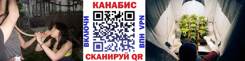 Бошки Шишки сатива Нерчинск
